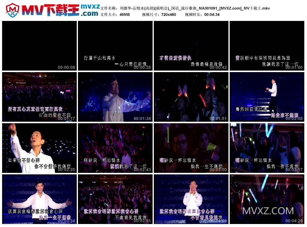 刘德华-忘情水(高清)(演唱会)_国语_流行歌曲_MA301091